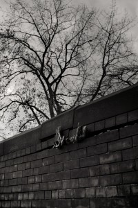 DSCF6017