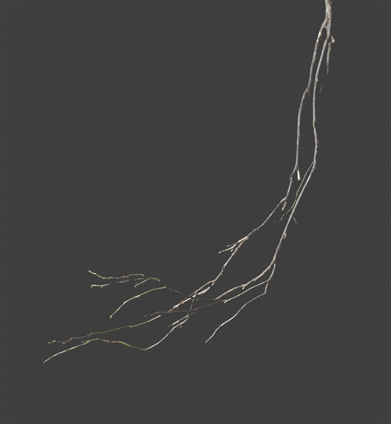 Folly03